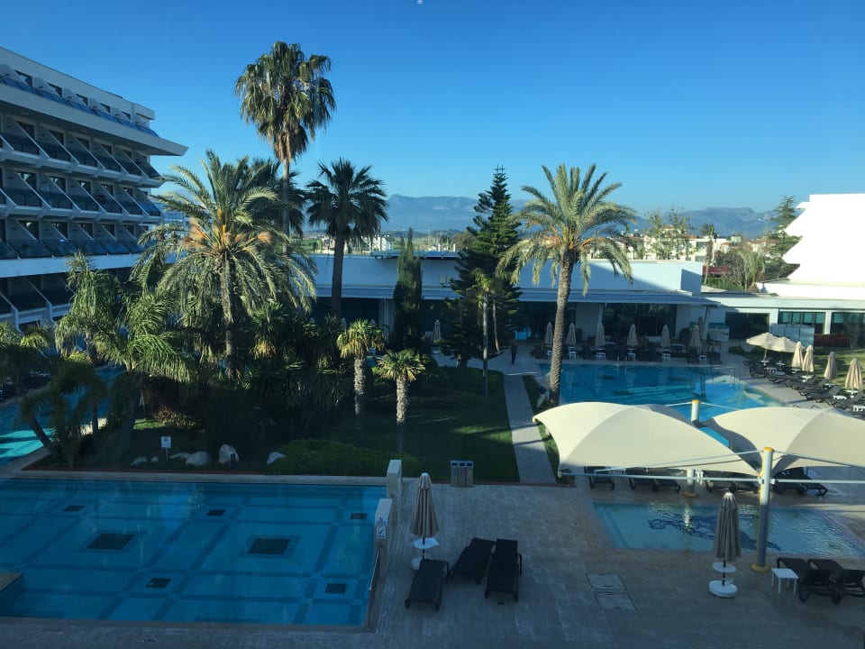 Pool Side Star Elegance