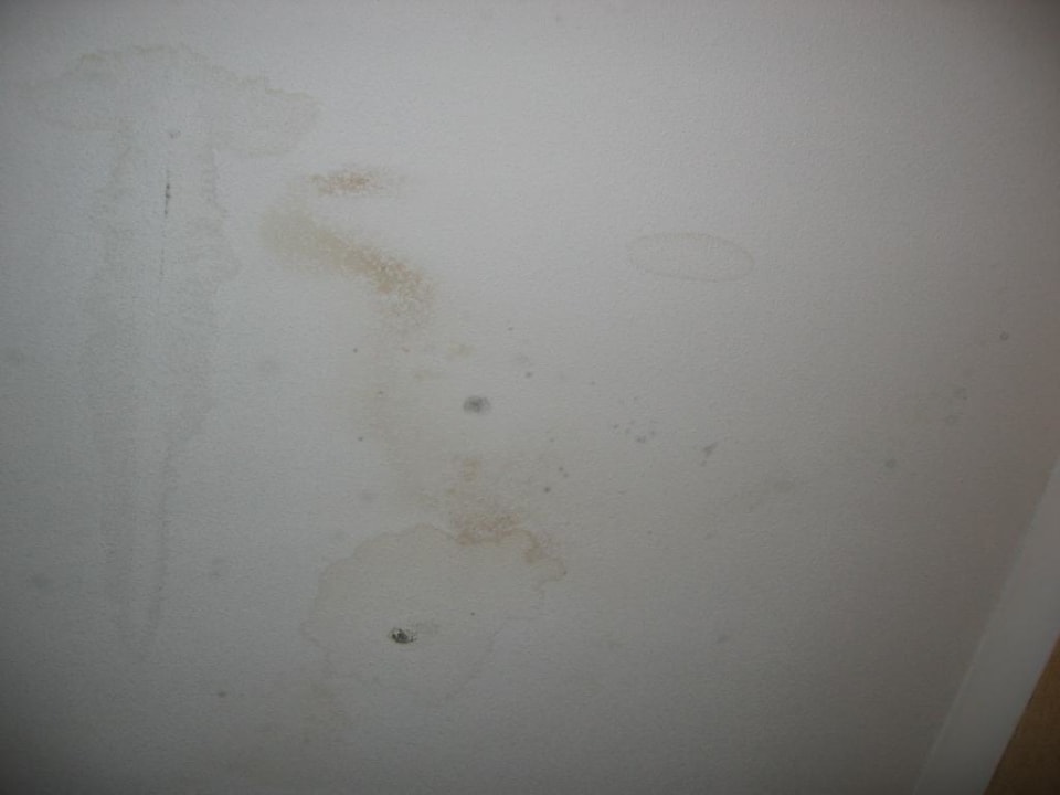 Schimmel im Zimmer. Sehr gesund Iberostar Origin Playa Alameda