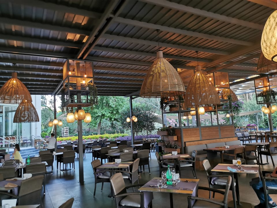 Gastro Arum Barut Collection