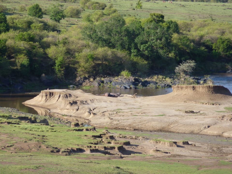 Ausblick vom Aufenthaltsraum Salt Springs Mara Camp