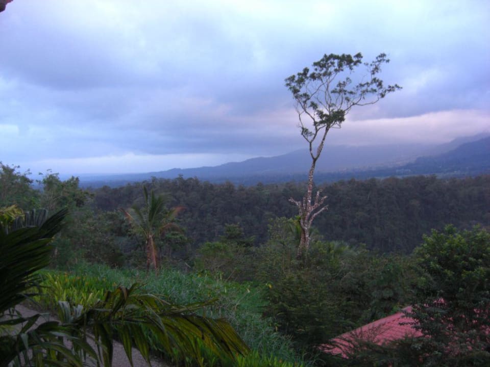 Ausicht _ The Springs Resort & Spa Hotel The Springs Resort & Spa