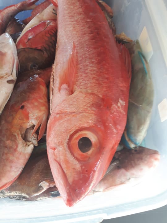 Sonstiges Hotel Grand Palladium Palace Resort, Spa & Casino