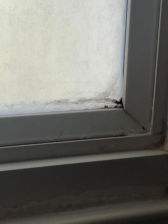 Zimmer Melia Las Dunas