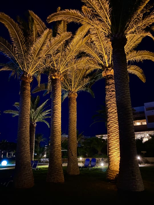 Gartenanlage Anissa Beach & Village
