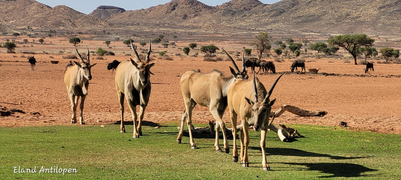 Sport & Freizeit We Kebi Safari Camp