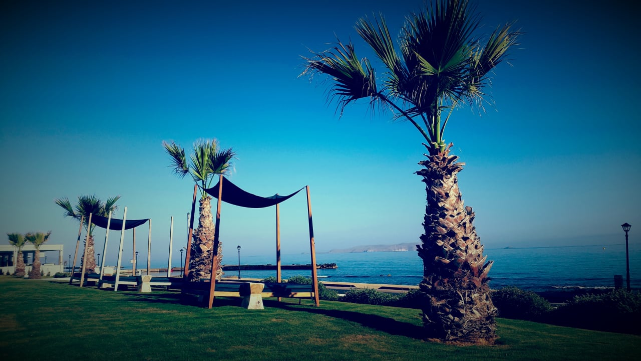 Gartenanlage TUI BLUE Insula Alba