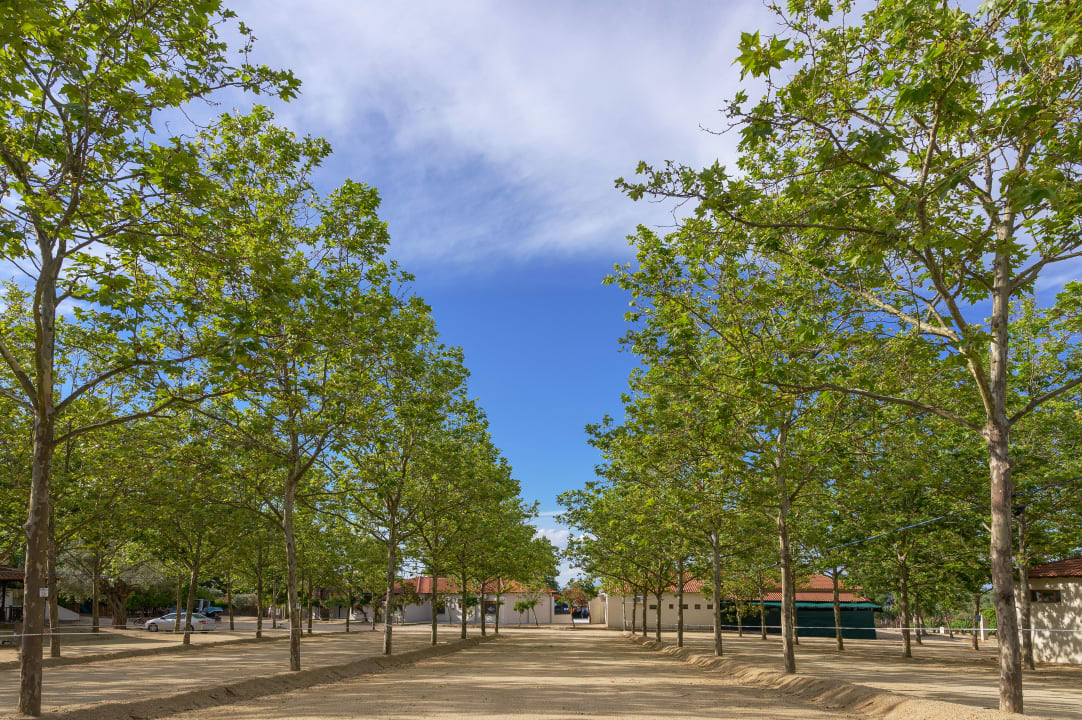 Sonstiges Komitsa Luxury Apartments