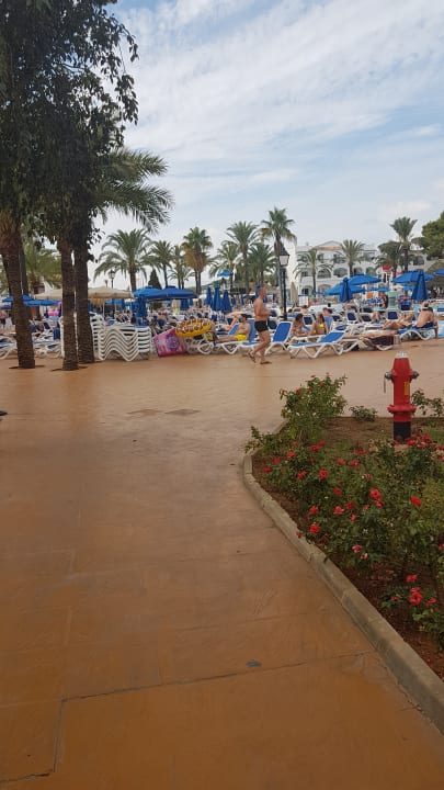 Pool Globales Bouganvilla