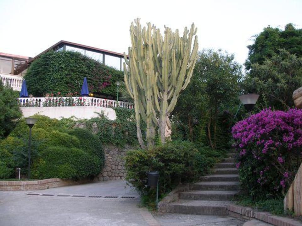 Rückwärtiger Aufgang zur Terrasse Aldiana Club Rocca Nettuno Calabria