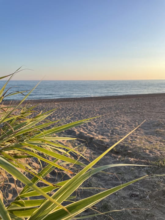 Strand Calimera Serra Palace