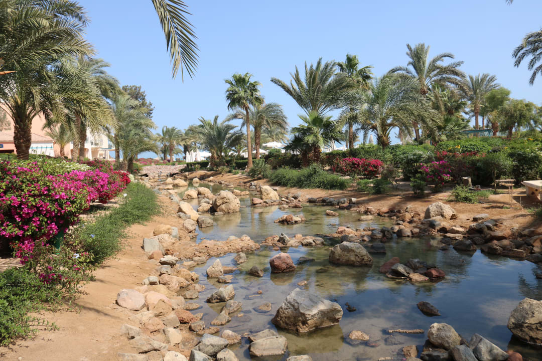 Gartenanlage Mövenpick Resort & Spa El Gouna
