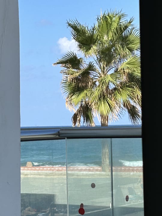 Ausblick allsun Hotel Carolina Mare