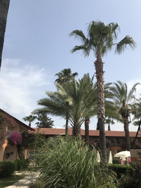 Gartenanlage Club Turtas Beach Hotel