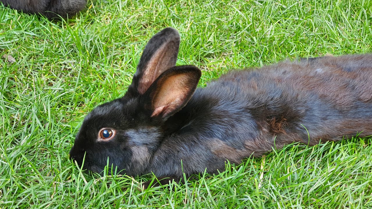 Sport & Freizeit Kinderhotel Waldhof