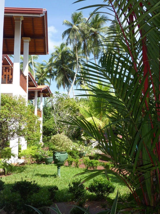 Blick vom Frühstückstisch in die Anlage Hotel Bentota Village