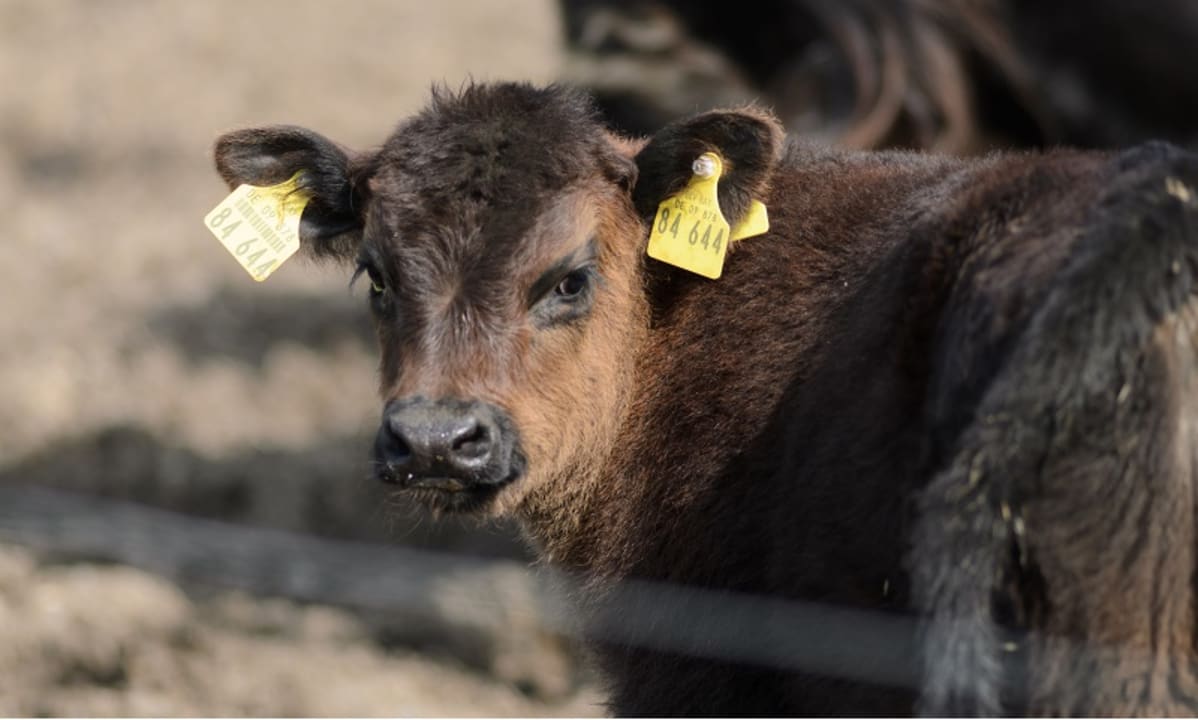 Sonstiges Hofgut Ratzenberg