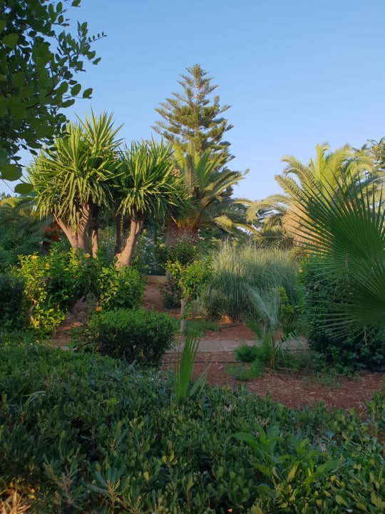 Gartenanlage Dessole Dolphin Bay Resort