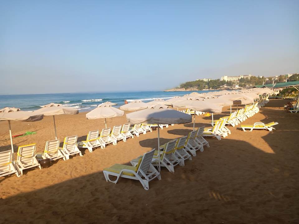 Strand AQI Pegasos Royal