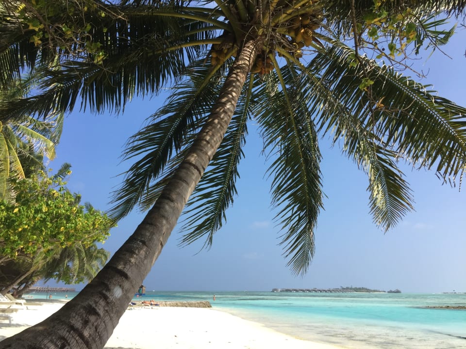 Direkt vorm Bungalow Adaaran Select Hudhuran Fushi - Premium All Inclusive