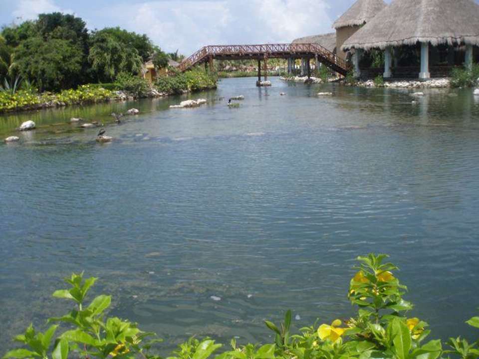 See am White Sands Grand Palladium Select White Sand Resort & Spa