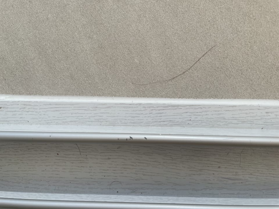 Zimmer Grand Bávaro Princess