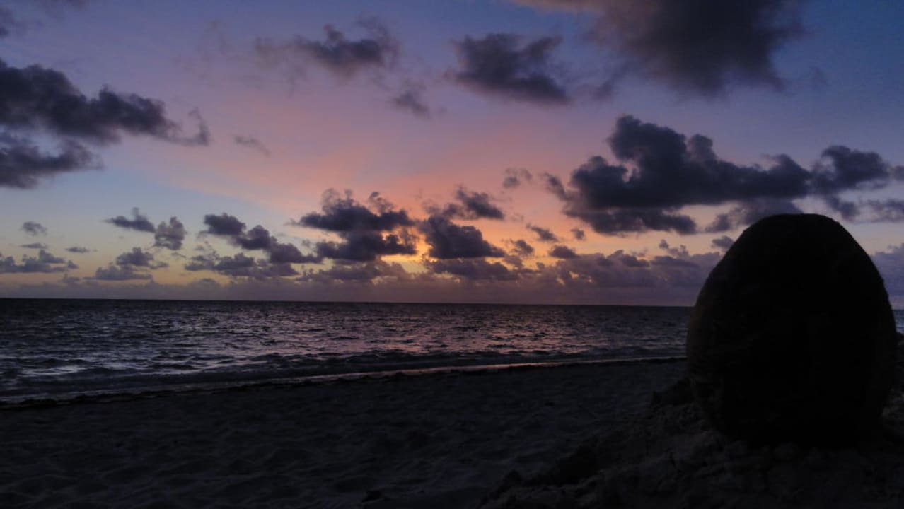 Kokosnuss am Morgen Catalonia Royal Bavaro - Adults only