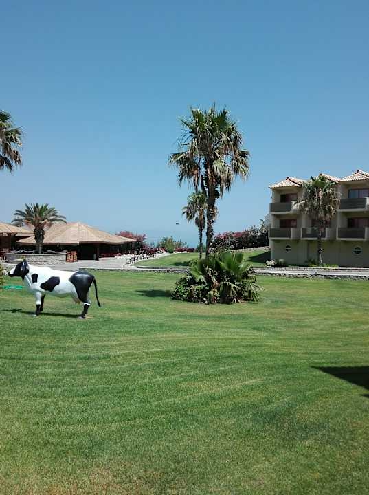 Gartenanlage Hotel Kalithea Horizon Royal