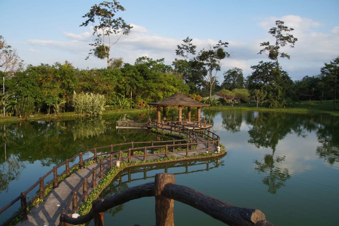 Gartenanlage Hotel Los Lagos