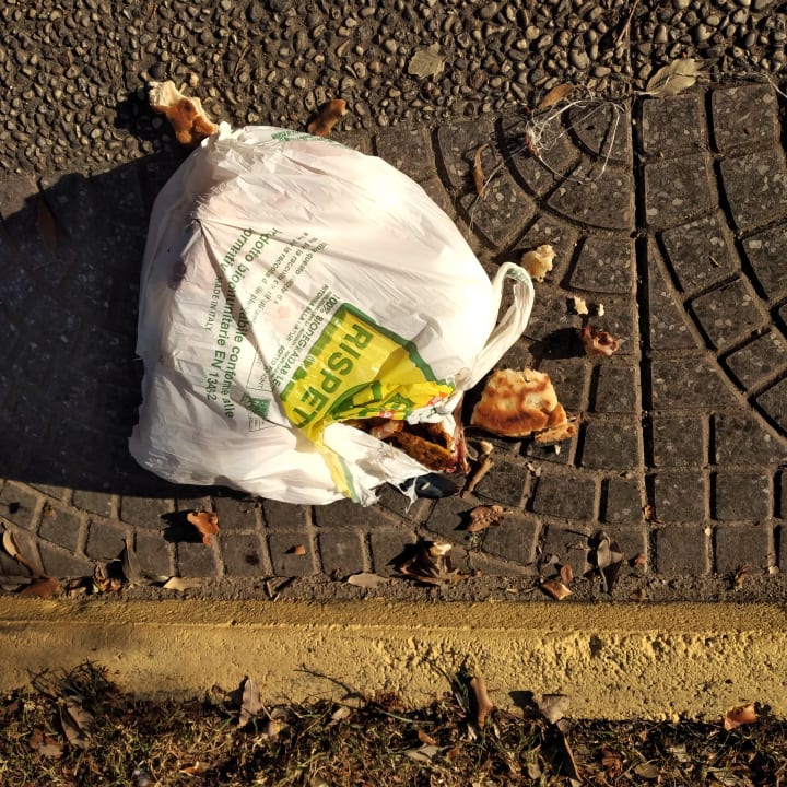 Gartenanlage Aparthotel Oasi Anfiteatro