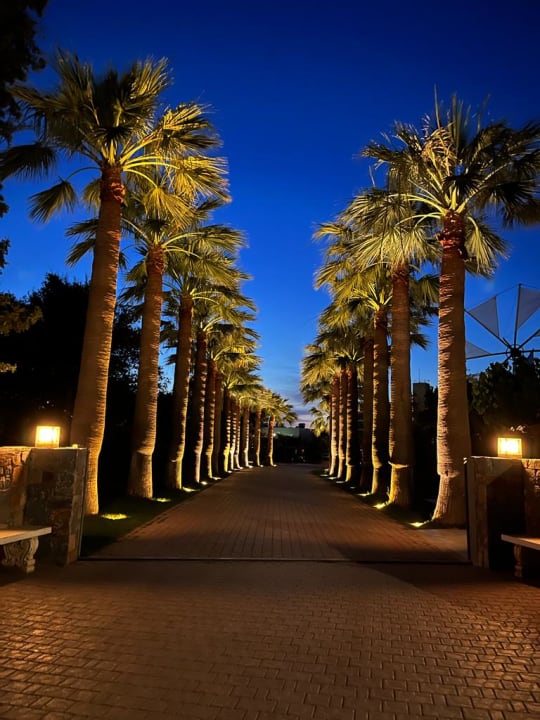 Gartenanlage Calimera Sirens Beach