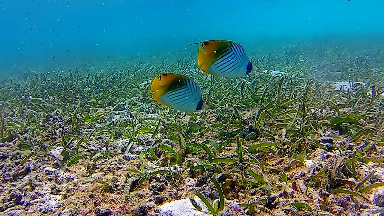 Sport & Freizeit Adaaran Select Hudhuran Fushi - Premium All Inclusive