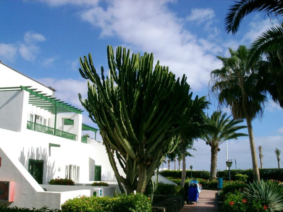 Appartments Hotel Riu Paraiso Lanzarote