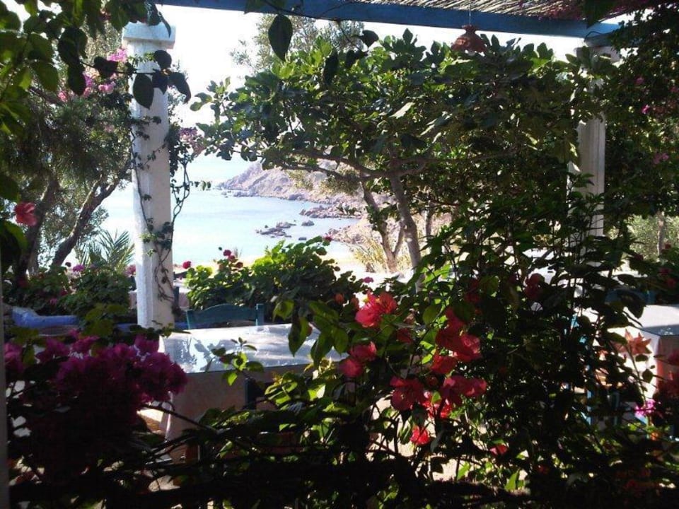 Gardenrestaurant Hotel Poseidon Beach