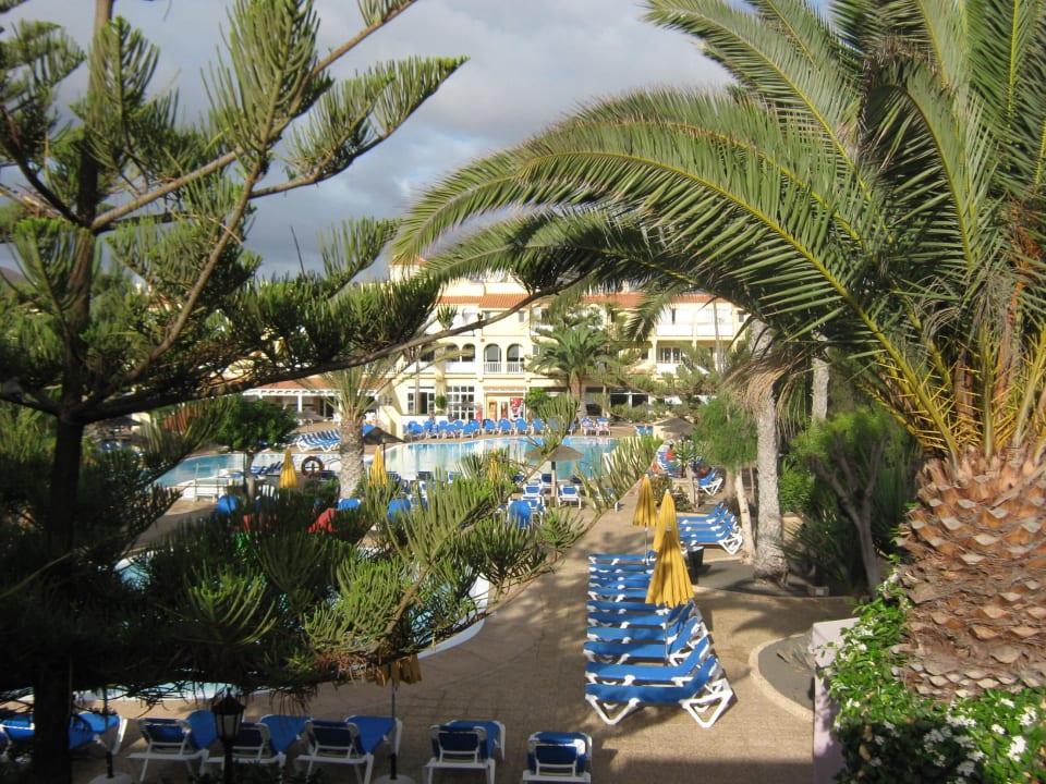 Vom Balkon Playa Park Zensation