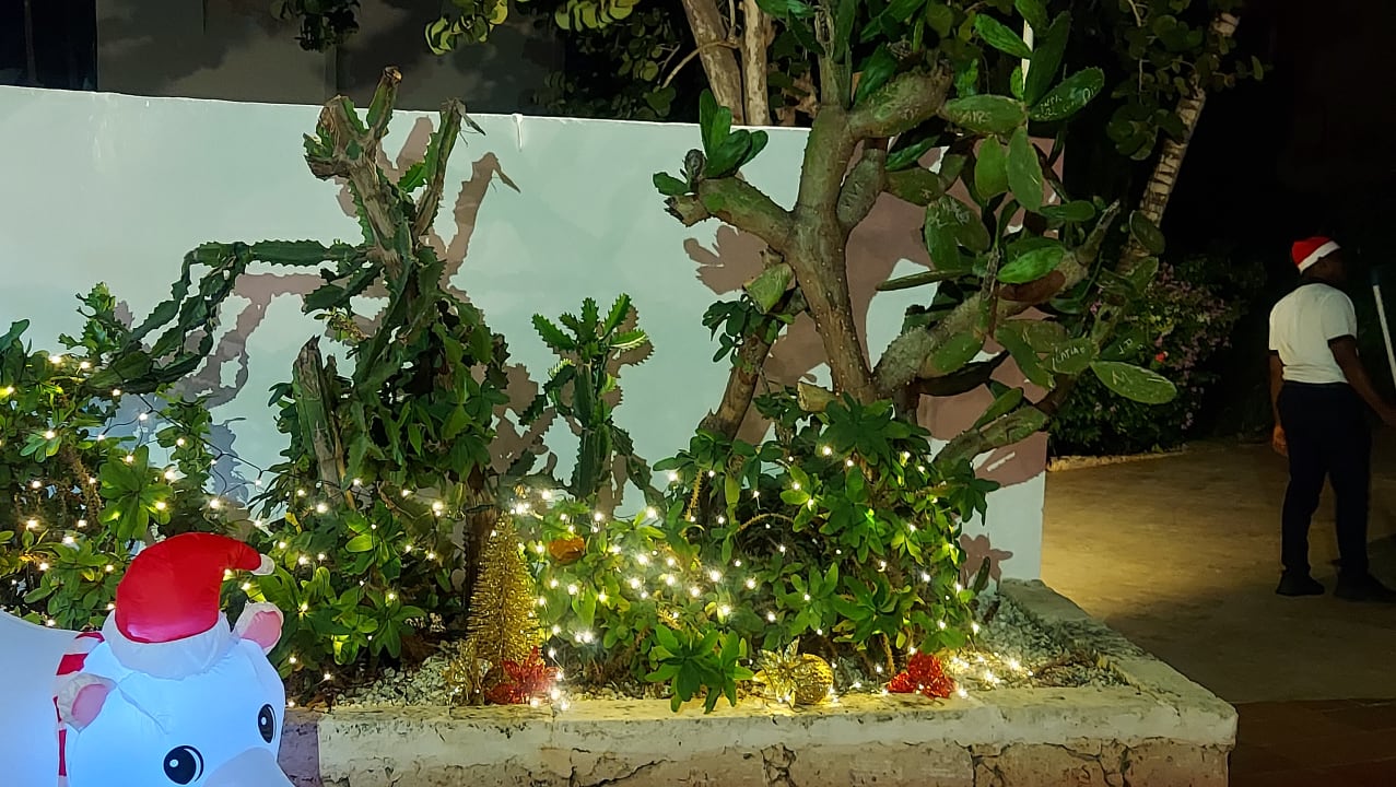 Gartenanlage Hotel Viva Dominicus Beach by Wyndham - All Inclusive Resort