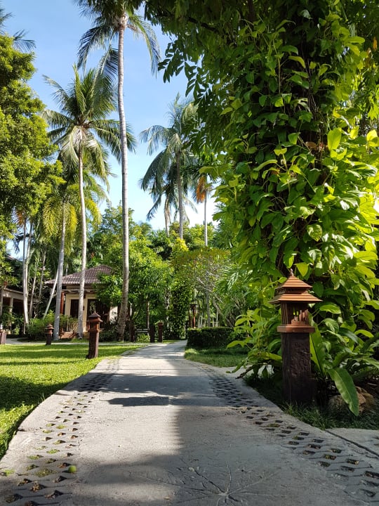 Gartenanlage Hotel Baan Chaweng Beach Resort & Spa