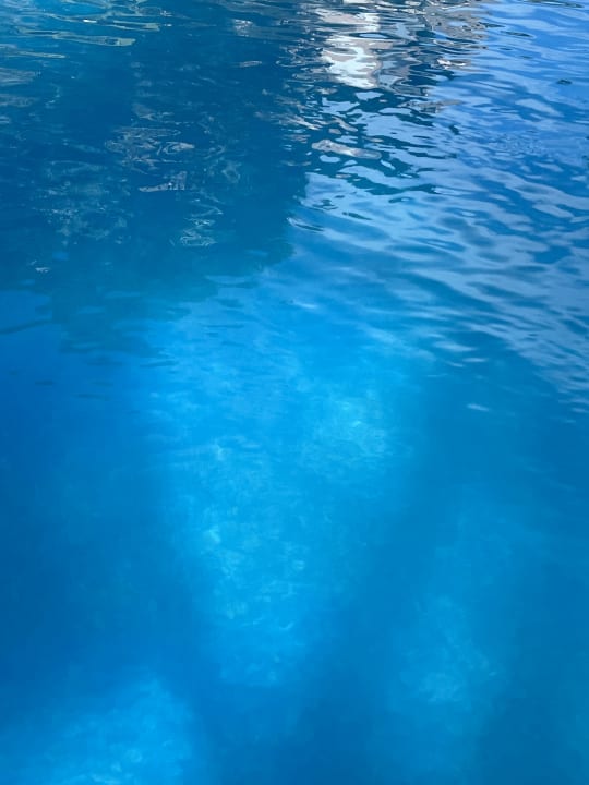 Pool Ona Palmira Paguera