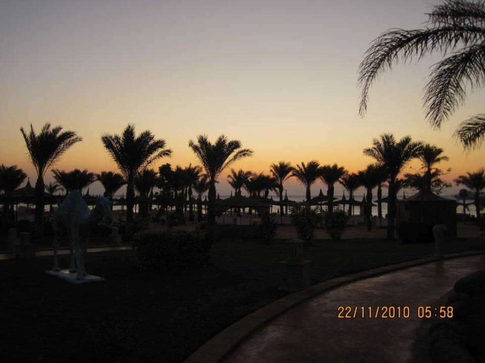 Blick zum Meer Pickalbatros Palace Resort