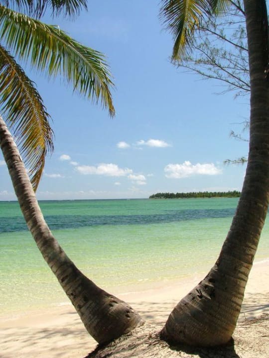 Super Bild (Strand) Villas Bavaro Resort & Spa