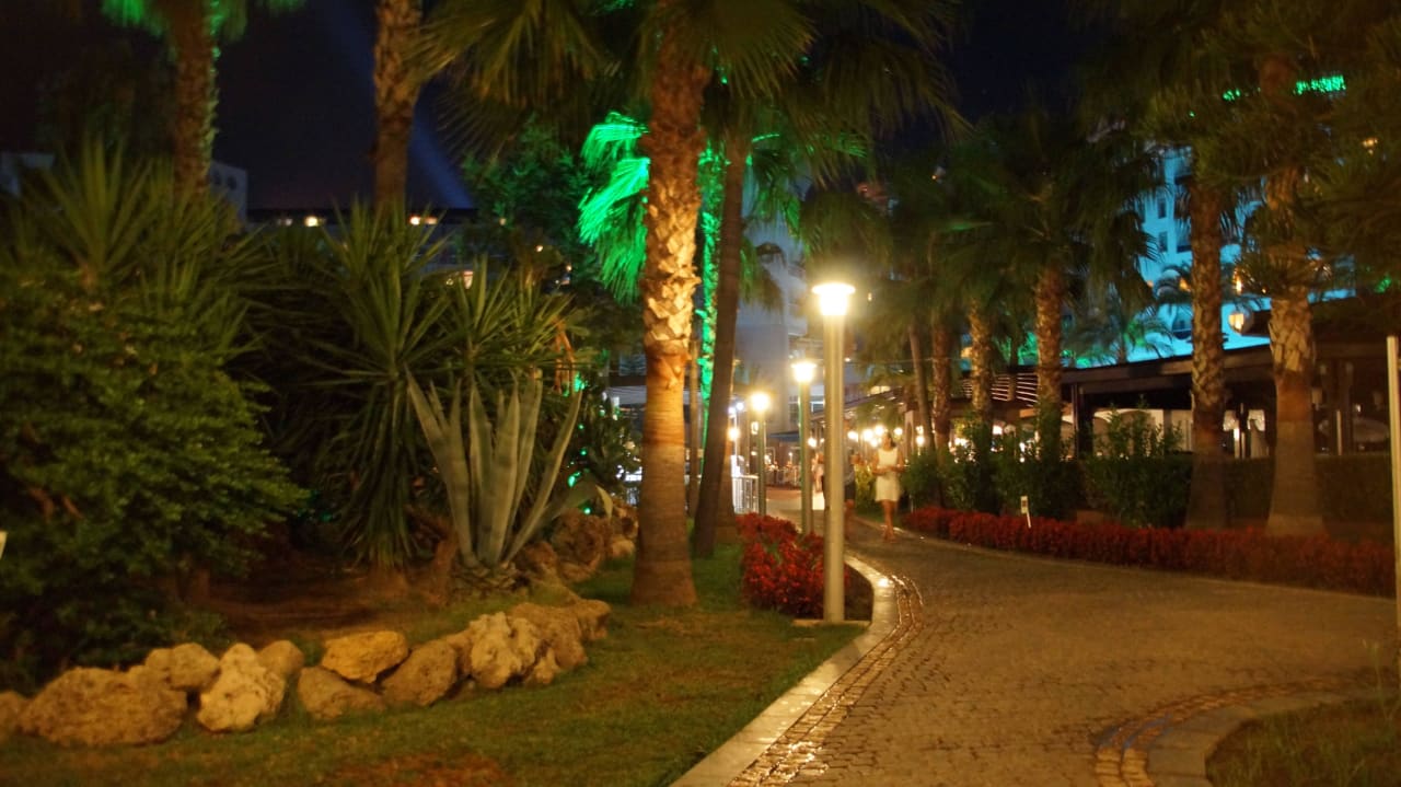 Dróżka nad morze  Arycanda Kirman Premium