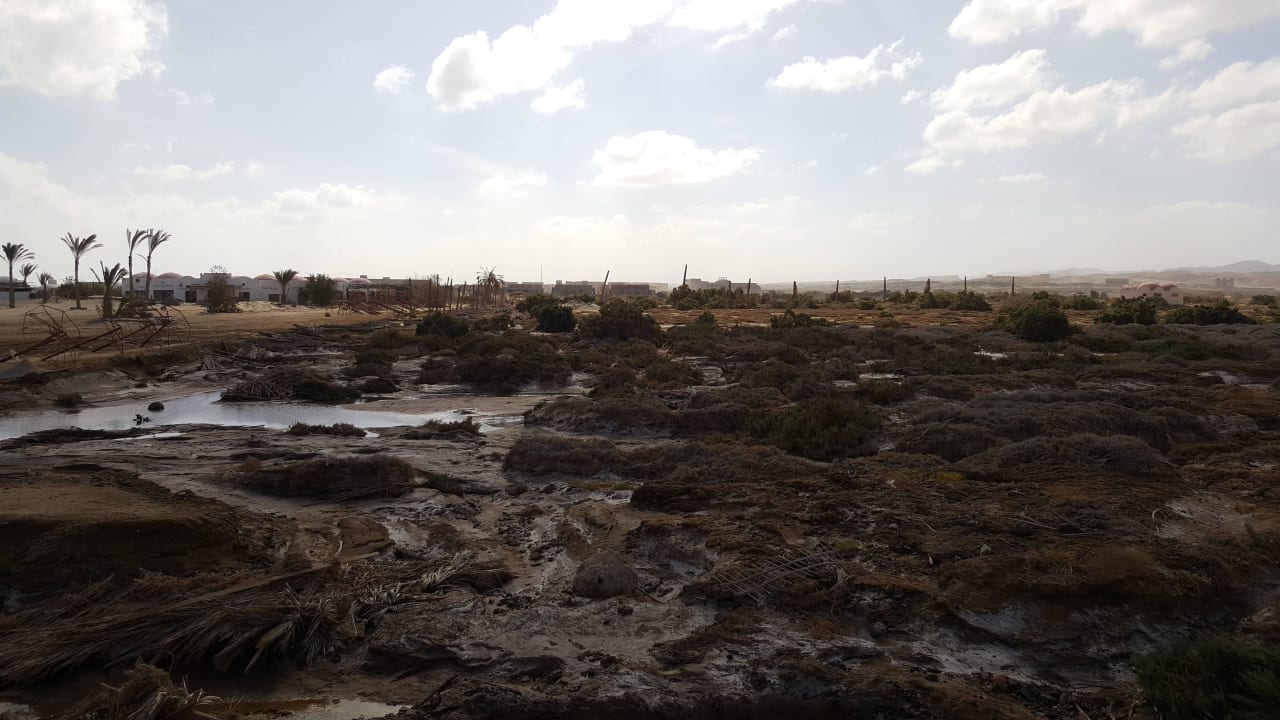 Linkes Wadi Three Corners Equinox Beach Resort