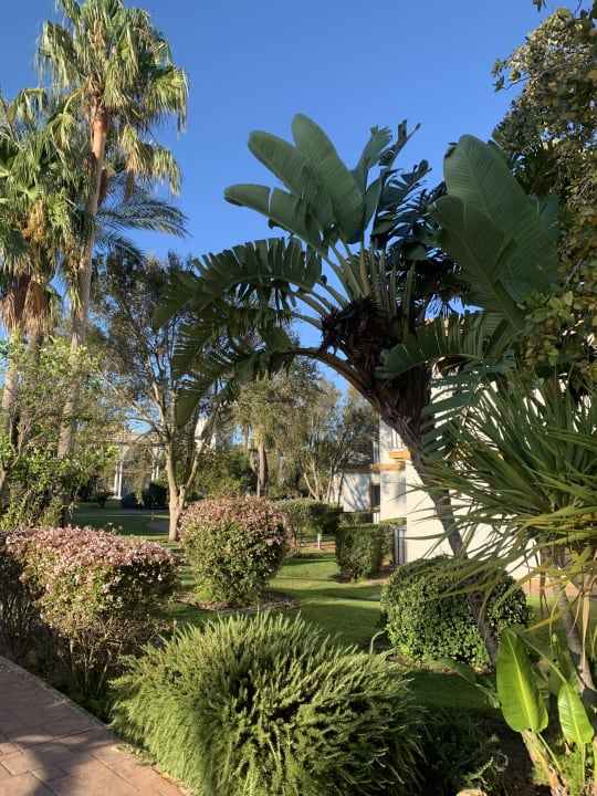 Gartenanlage Aldiana Club Andalusien