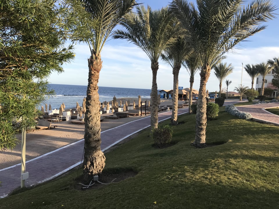 Strand Serenity Alpha Beach