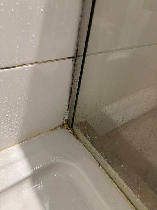 Zimmer Iberostar Waves Mehari Djerba