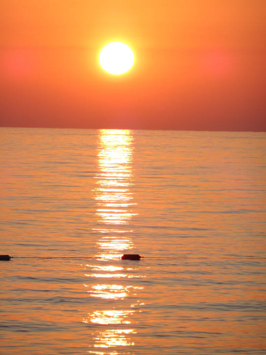 Strand Crystal Flora Pearl Collection