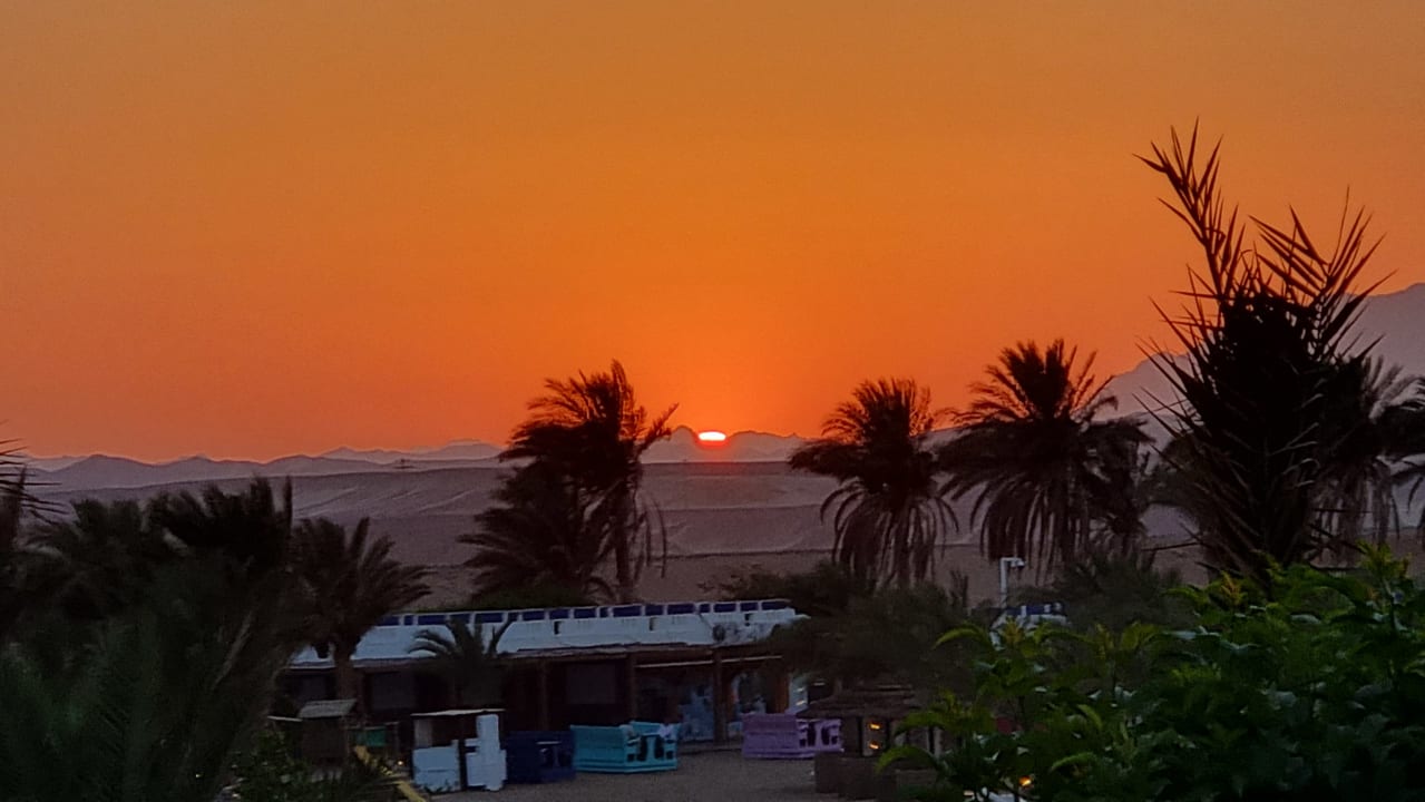 Ausblick Coral Sun Beach