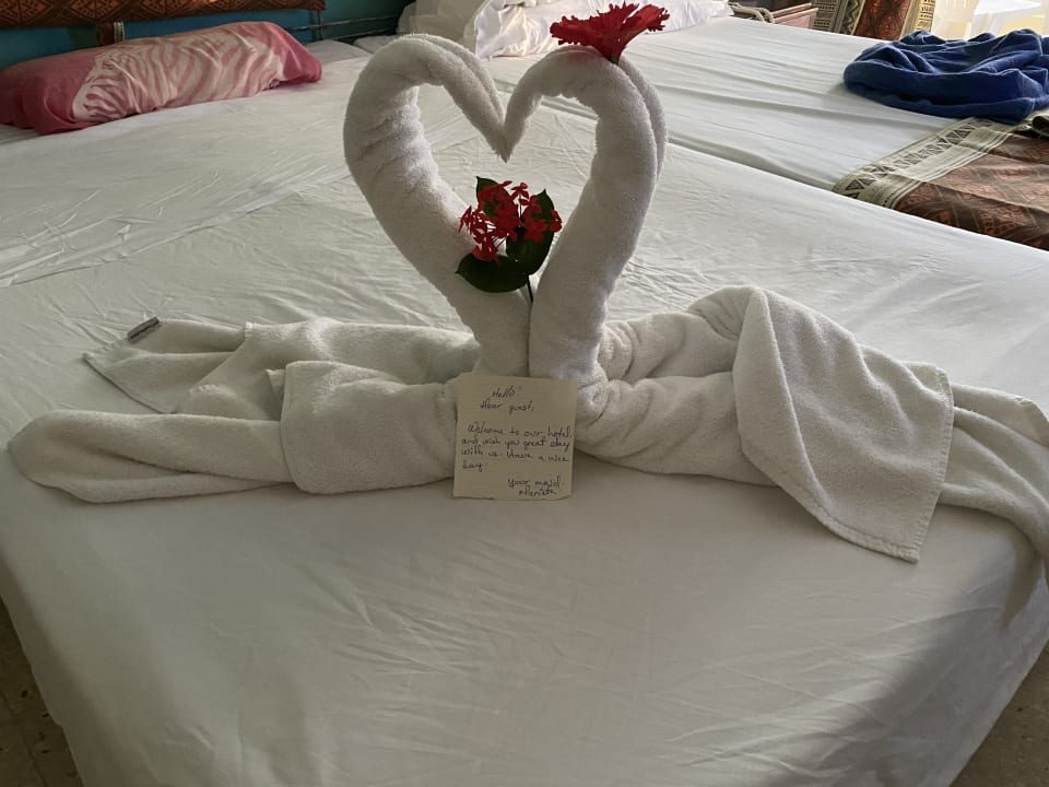 Zimmer Sol Rio De Luna y Mares