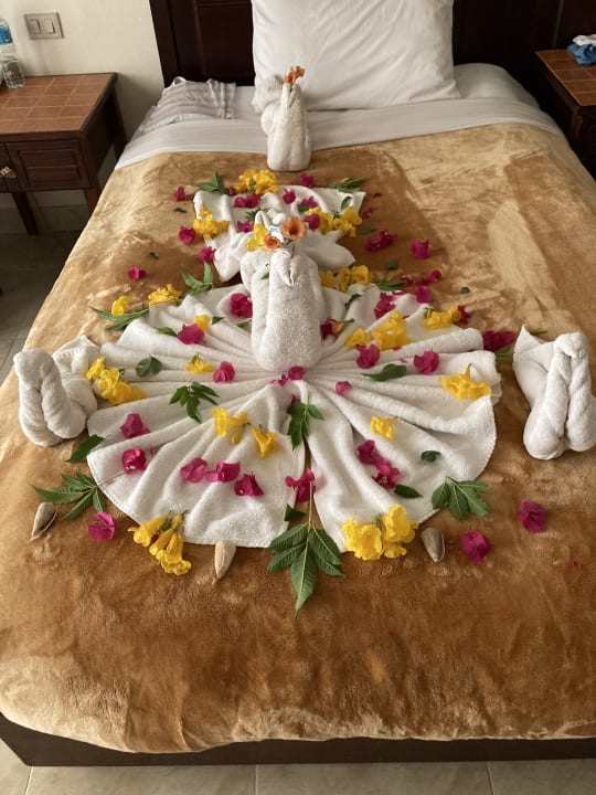 Zimmer Laguna Beach Marsa Resort