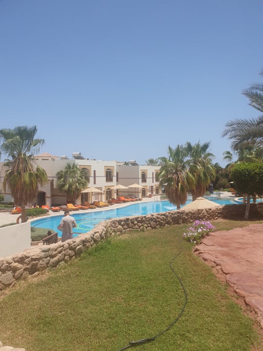 Gartenanlage Amphoras Blu