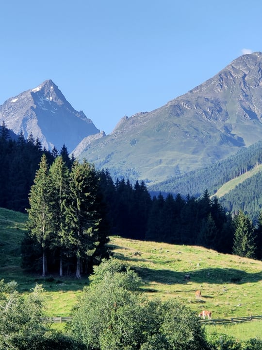 Ausblick Bergsporthotel Antonie